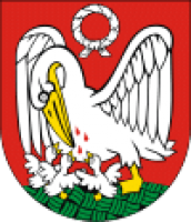 100px-POL_Szubin_COA.svg
